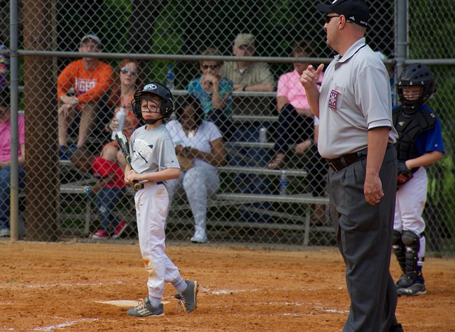 的競爭中 的競爭中