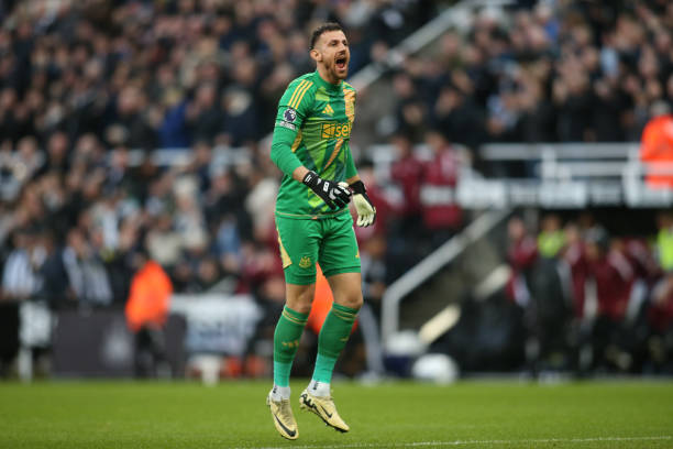 生日献礼 生日献礼