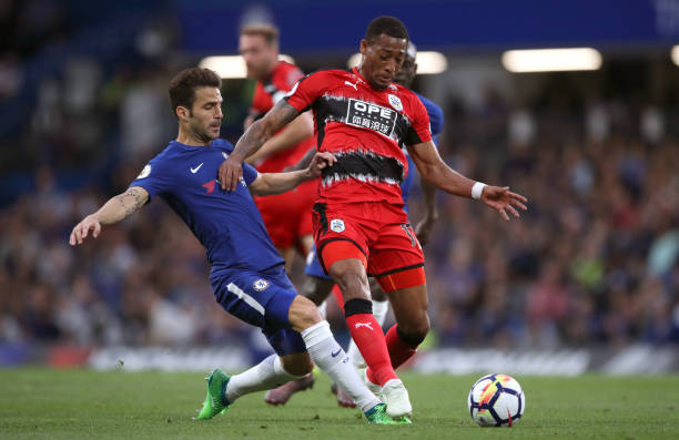 实能够带来 实能够带来