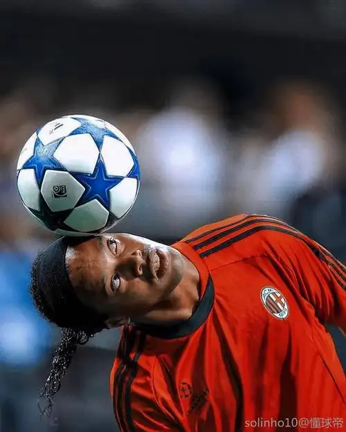 拉菲尼亚与 拉菲尼亚与